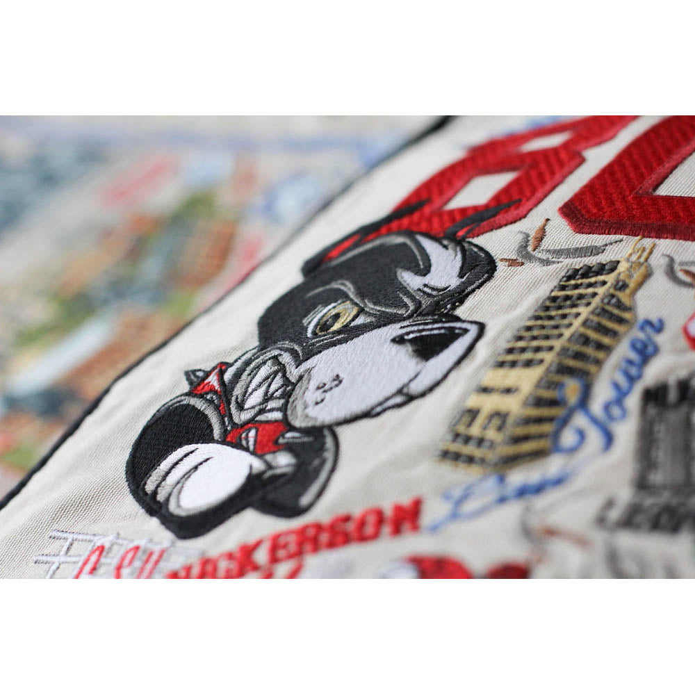 Boston University Collegiate Embroidered Pillow by CatStudio Quirks!