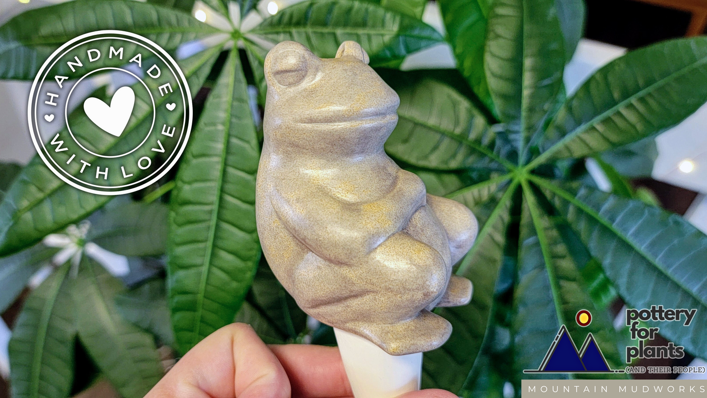 Chill Frog Watering Spike Mountain Mudworks