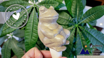 Chill Frog Watering Spike Mountain Mudworks