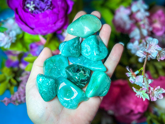 Polished Chrome Chalcedony, Mtorolite