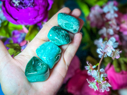 Polished Chrome Chalcedony, Mtorolite