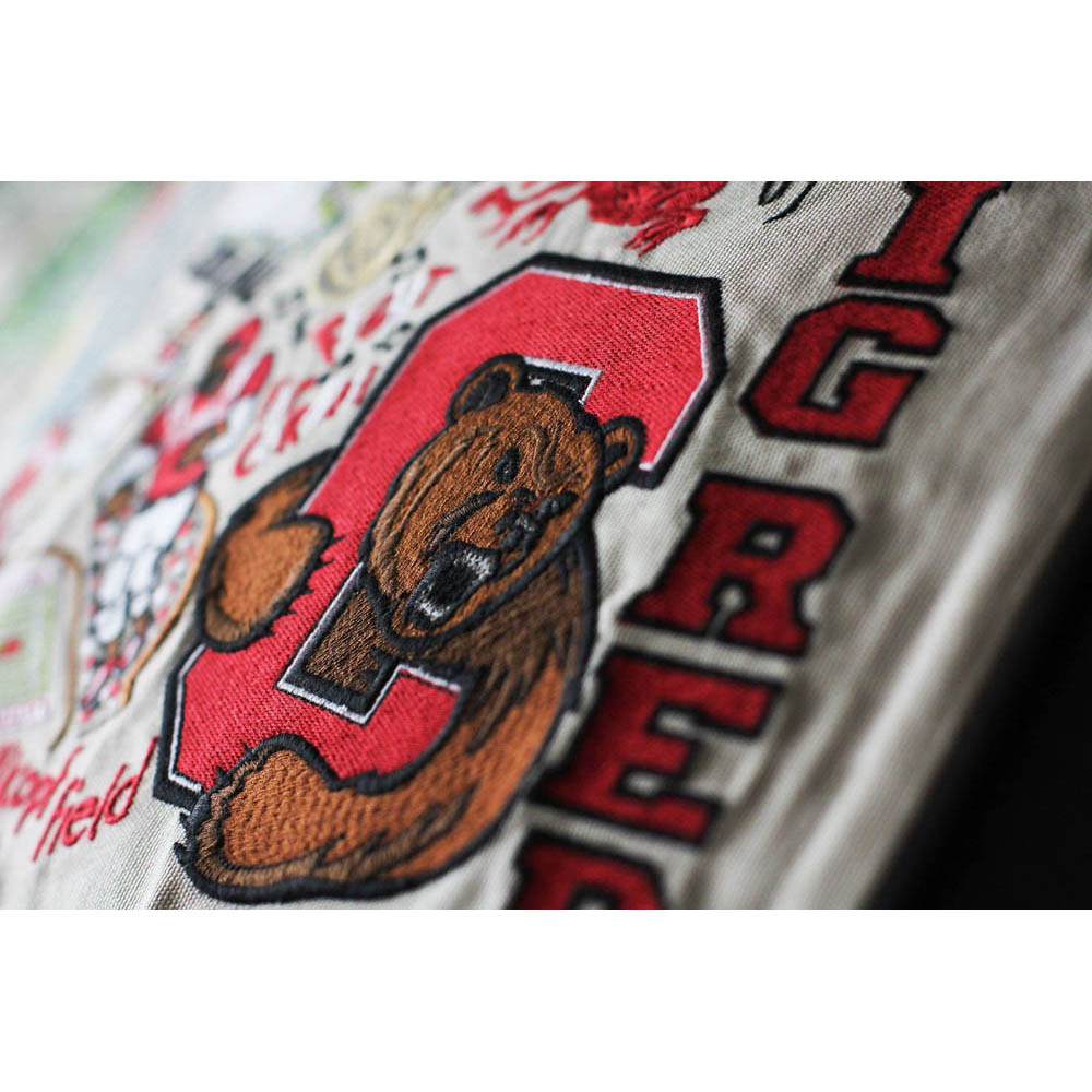 Cornell University Collegiate Embroidered Pillow by CatStudio Quirks!