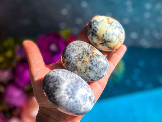 Dendritic Agate Palmstones