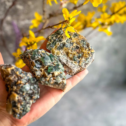 Druzy Dreams Pocket Fluorite Clusters (Color Change) Diana Maria Mine, Fluorescent Fluorite