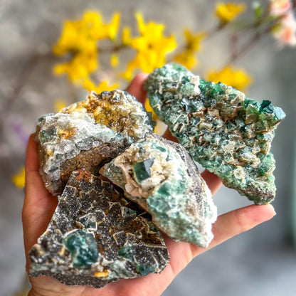 Druzy Dreams Pocket Fluorite Clusters (Color Change) Diana Maria Mine, Fluorescent Fluorite