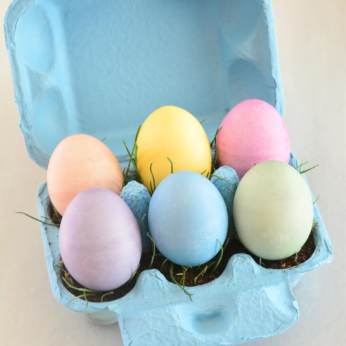 Egg Coloring & Seed Growing Kit – DIY Craft