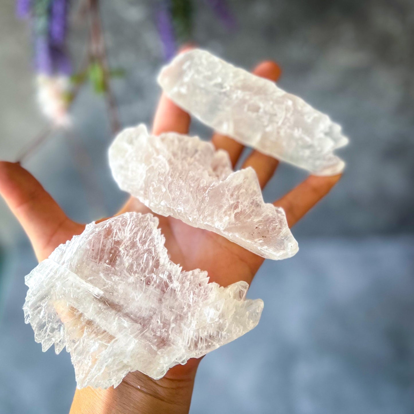 Fishtail Selenite Raw Specimens, Ethically Sourced Water Selenite