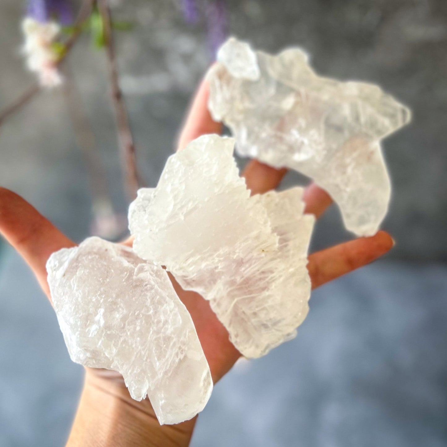 Fishtail Selenite Raw Specimens, Ethically Sourced Water Selenite