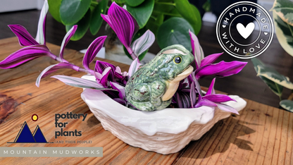 Frog Watering Spike Mountain Mudworks