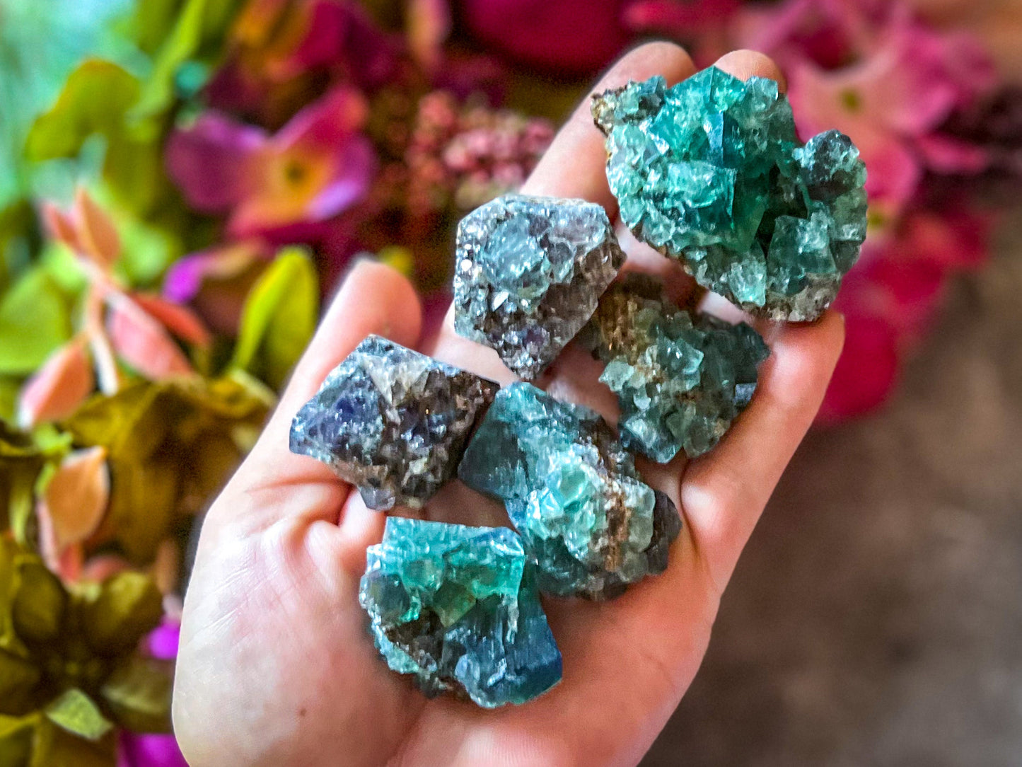 Hidden Forest Pocket Fluorite Clusters, Diana Maria Mine, Daylight Fluorescent Fluorite