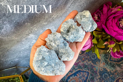 Raw CELESTITE Crystal Clusters, Ethically Sourced Celestite