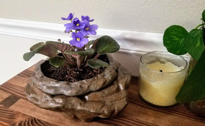 Large Natural Stone Self Watering / African Violet Pot Mountain Mudworks