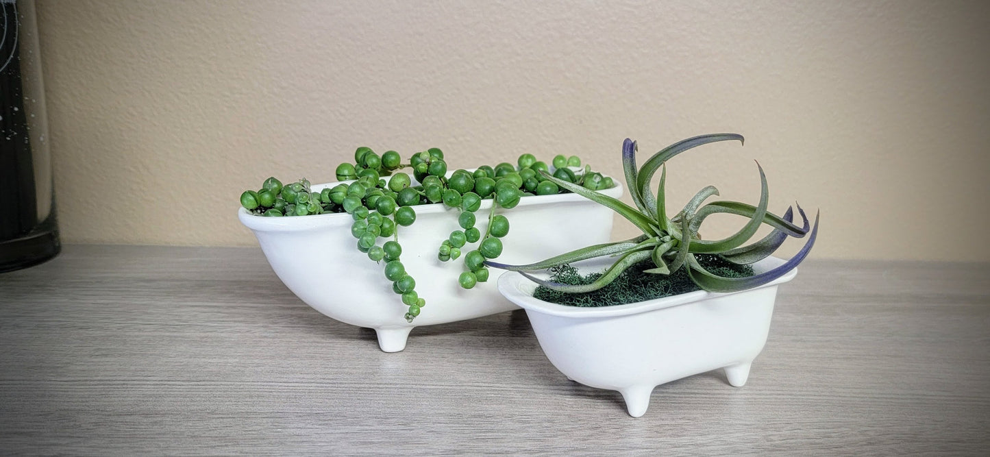 Medium Ceramic Bathtub Planter Mountain Mudworks