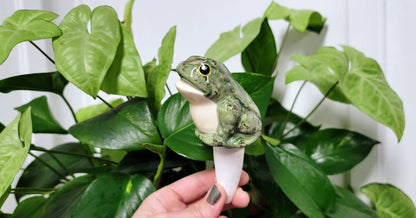 Frog Watering Spike Mountain Mudworks