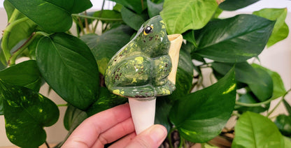 Open-Mouth Frog Plant Watering Spike Mountain Mudworks