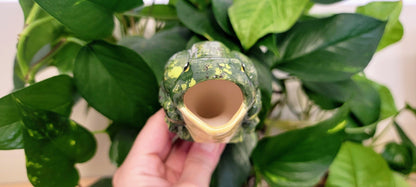 Open-Mouth Frog Plant Watering Spike Mountain Mudworks