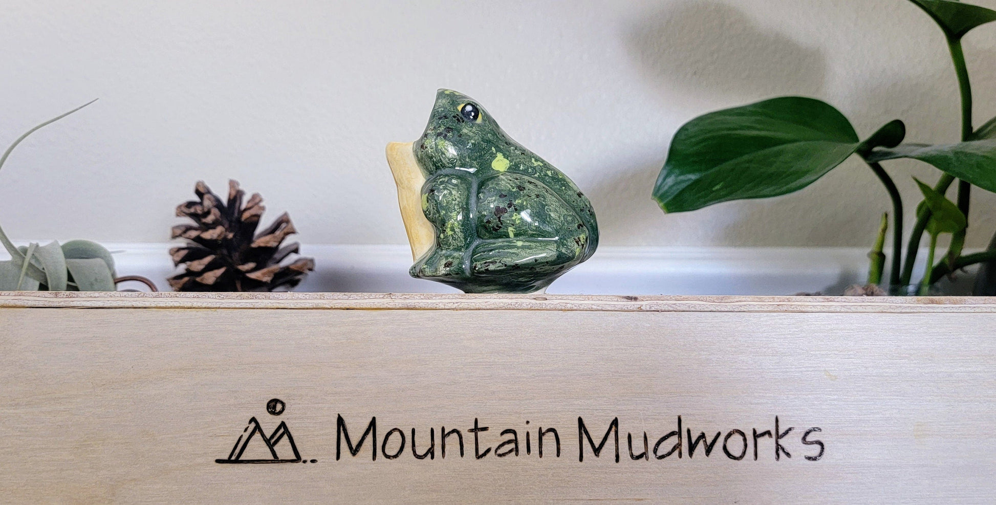 Open-Mouth Frog Plant Watering Spike Mountain Mudworks