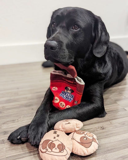 Hello Puppy 4 Piece Dog Toy - Creative Freedom Collective
