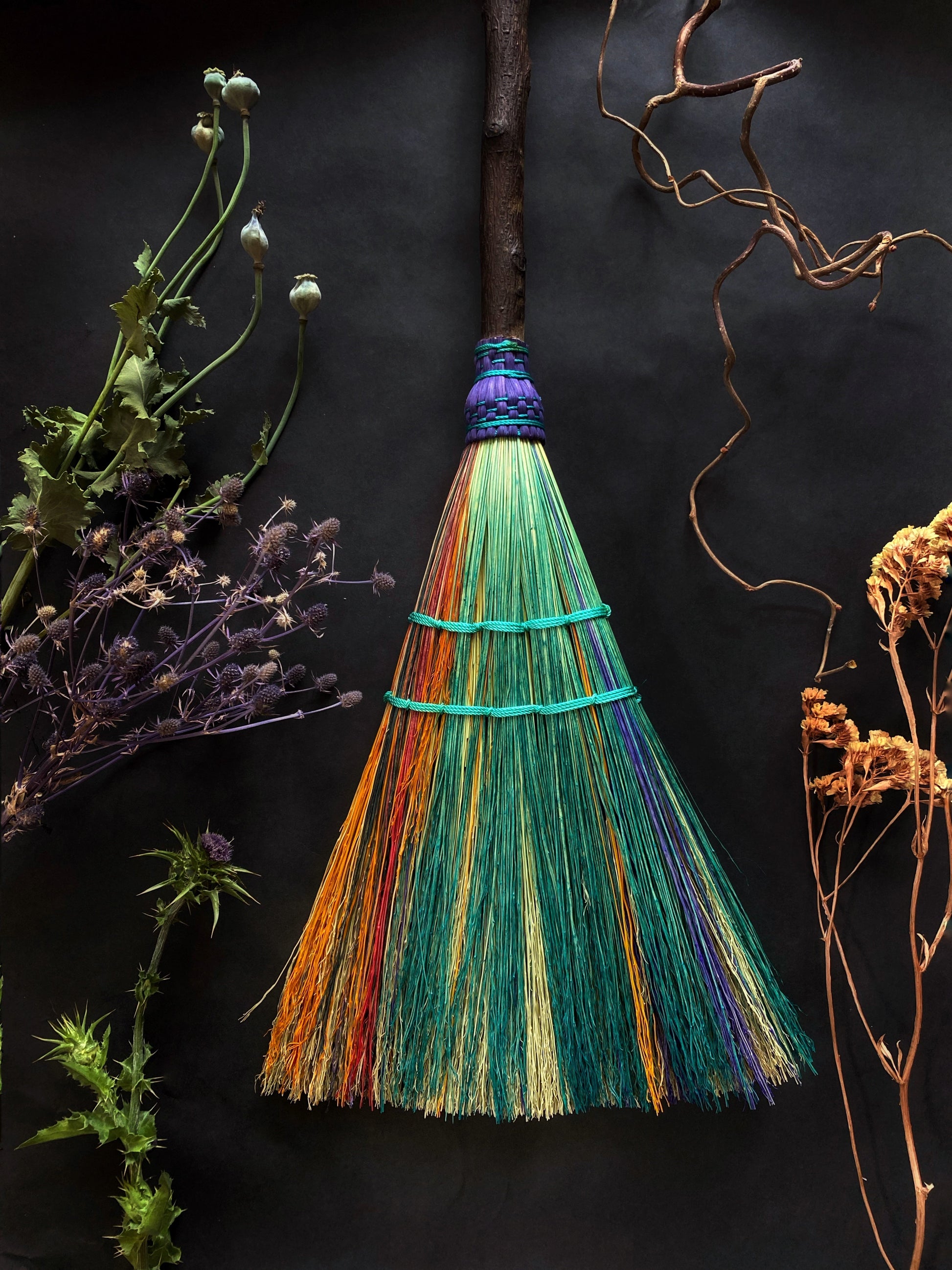 Colorful broom with natural elements on a dark background