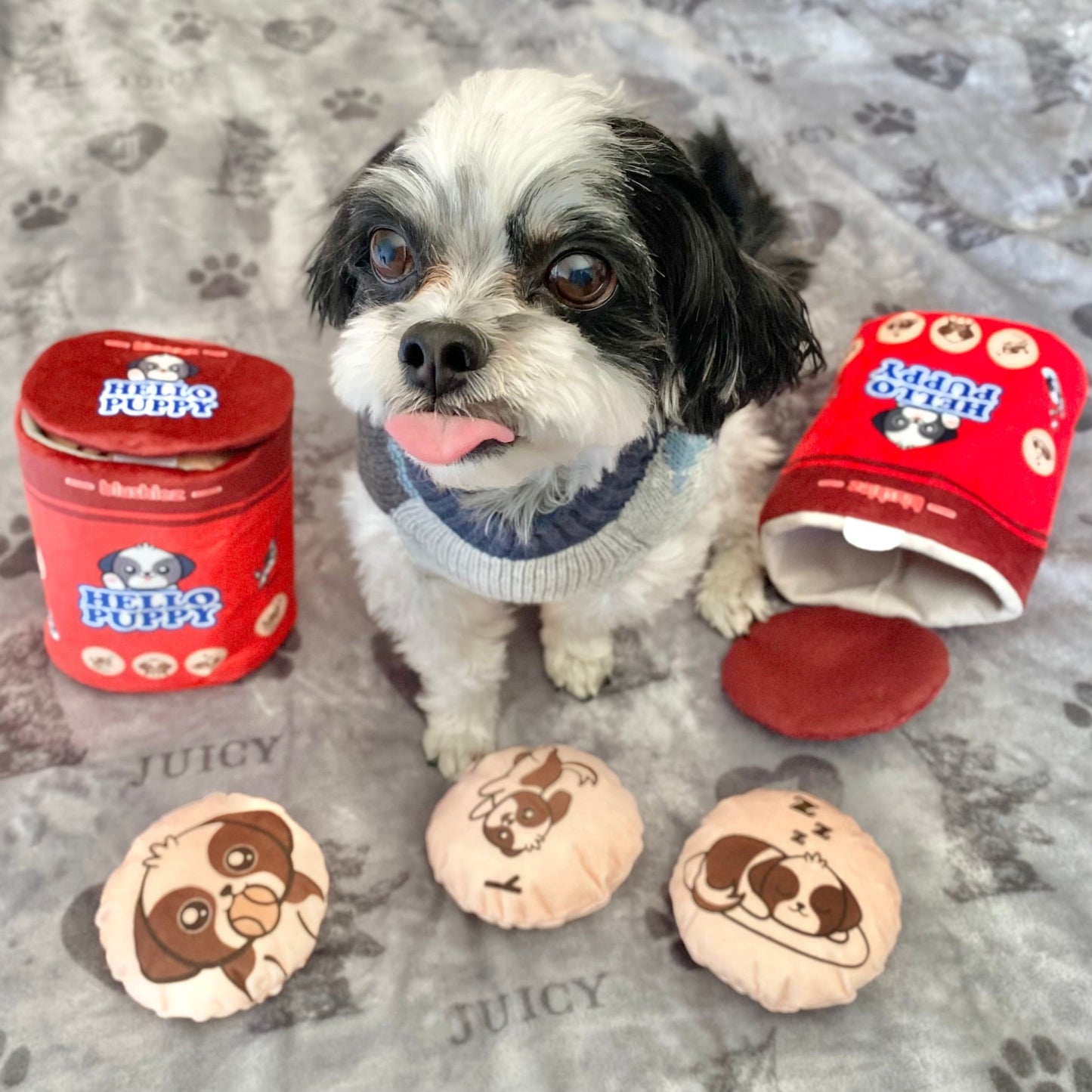 Hello Puppy 4 Piece Dog Toy - Creative Freedom Collective