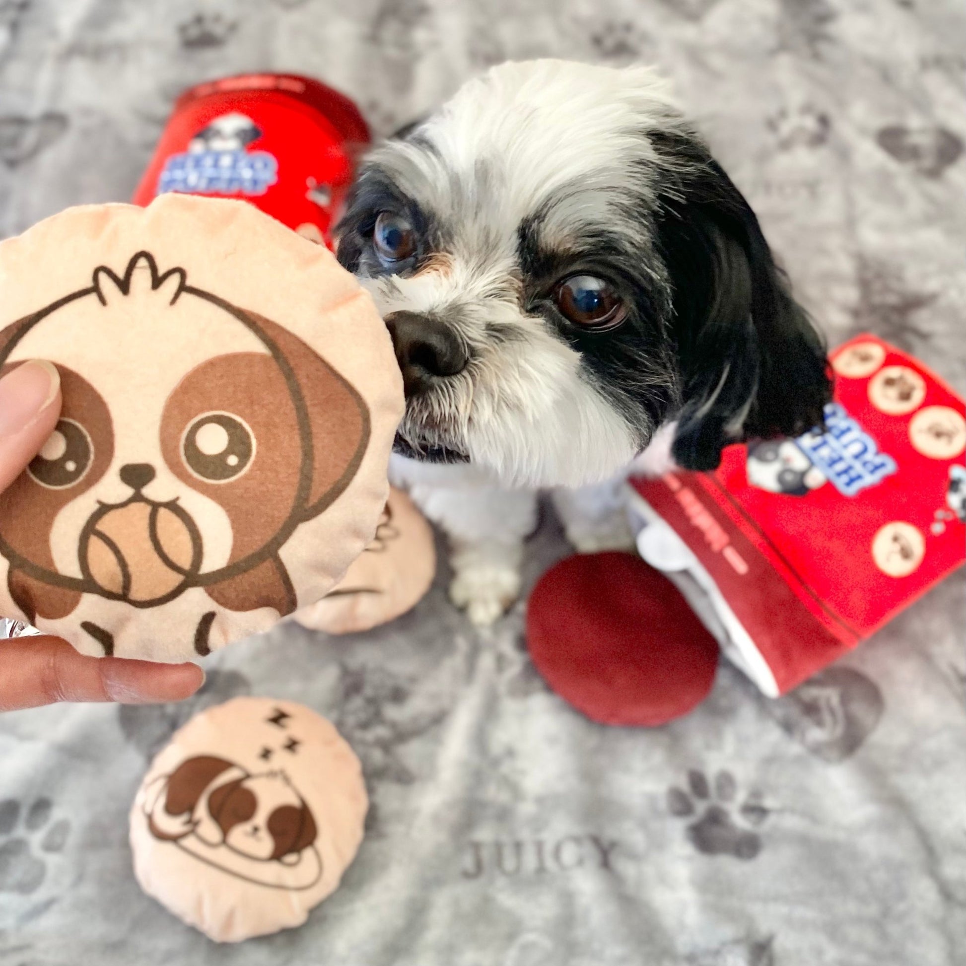 Hello Puppy 4 Piece Dog Toy - Creative Freedom Collective