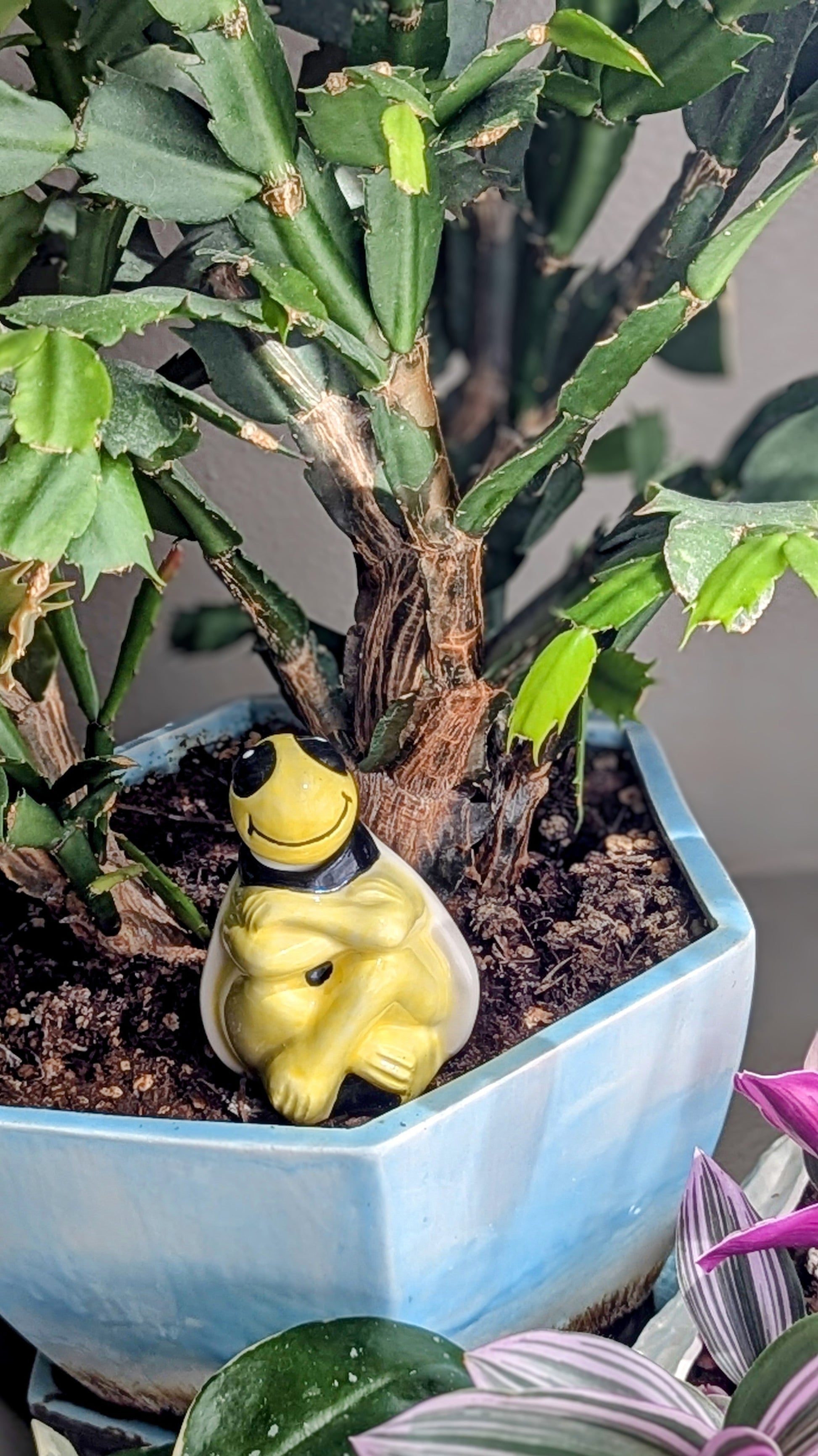 Bee Watering Spike Mountain Mudworks