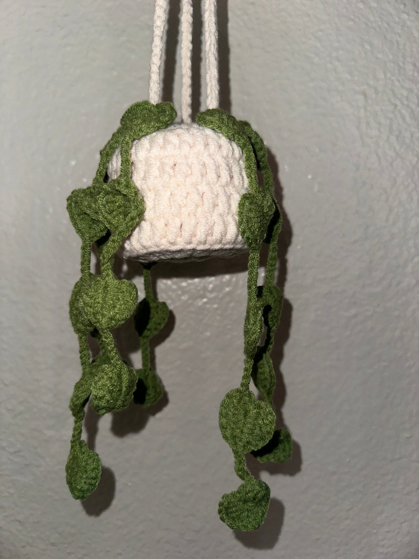 Crochet Hanging Plants