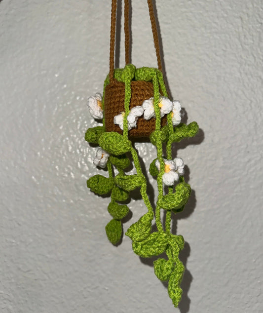 Crochet Hanging Plants