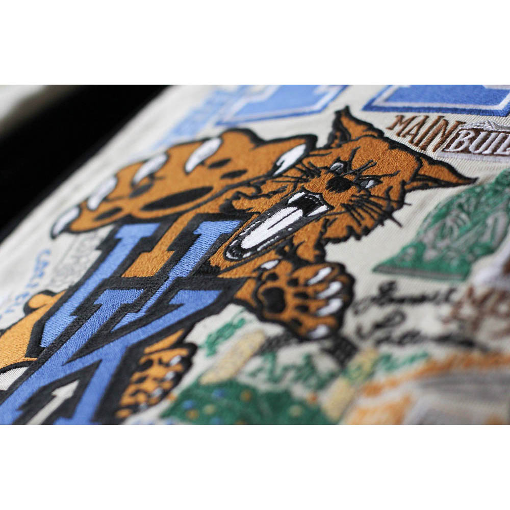 Kentucky, University of Collegiate Embroidered Pillow by CatStudio Quirks!