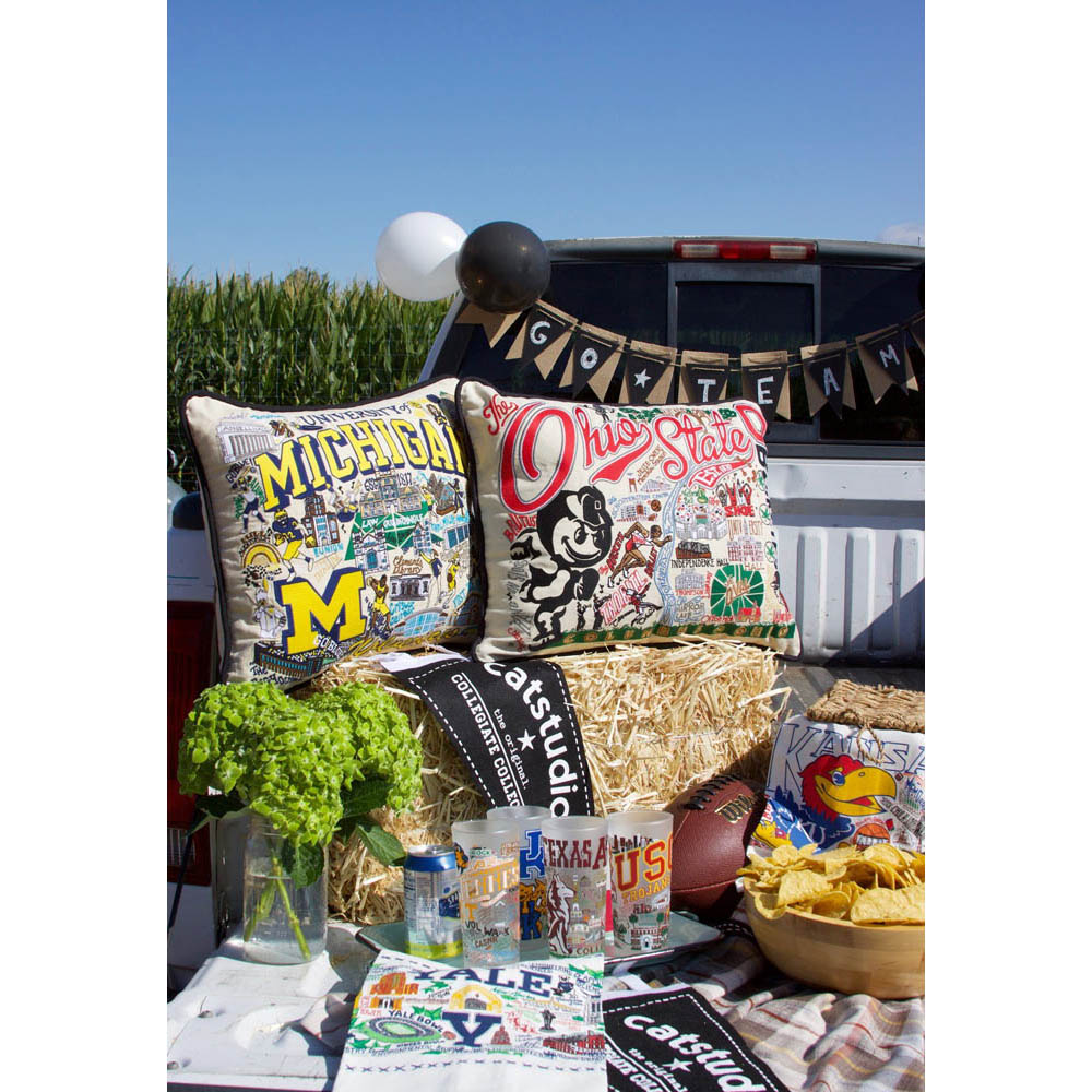 Michigan, University of Collegiate Embroidered Pillow by CatStudio Quirks!