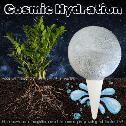 Moon Plant Watering Spike Mountain Mudworks