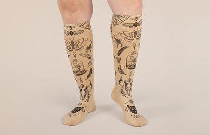 Oddities Beige Gradient Compression Socks
