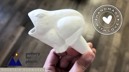 Open-Mouth Frog Plant Watering Spike Mountain Mudworks