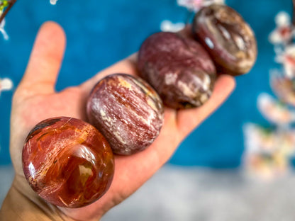 Petrified Wood Palm Stone