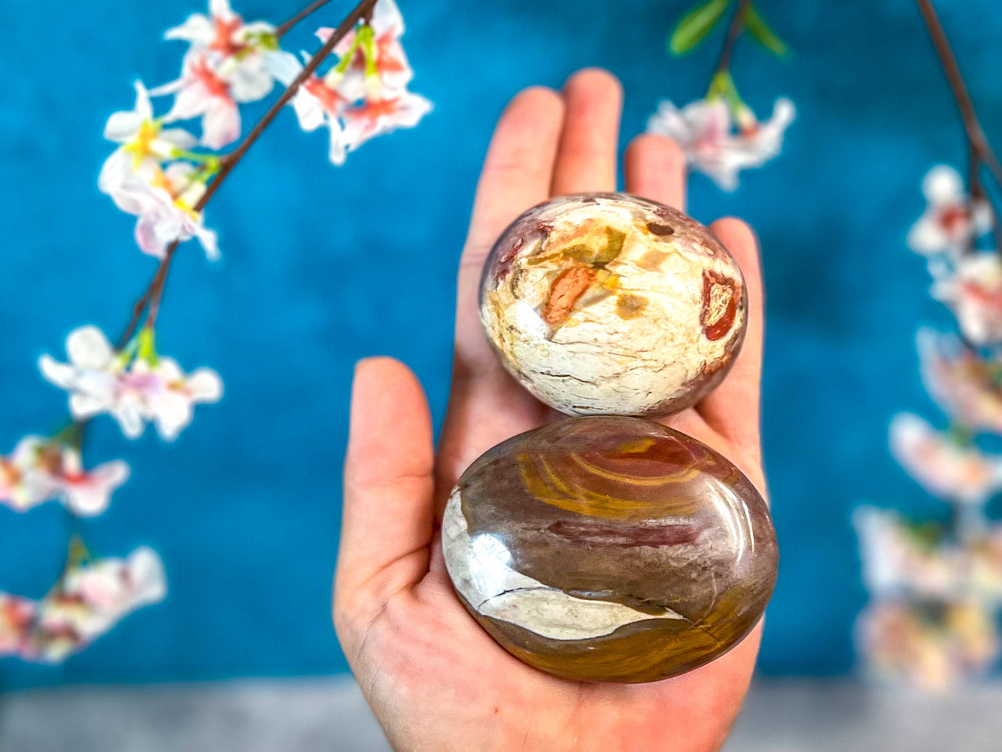 Petrified Wood Palm Stone