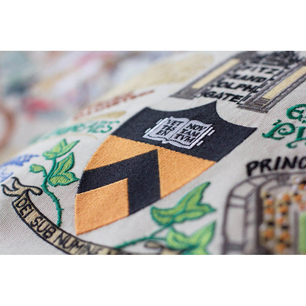 Princeton University Collegiate Embroidered Pillow by CatStudio Quirks!