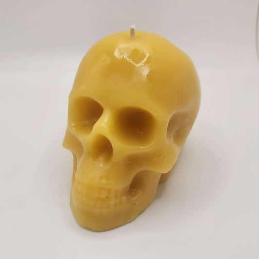 Skull Beeswax Candle – 7.0 oz