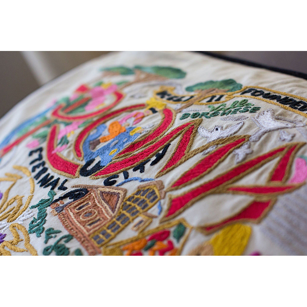 Roma Hand-Embroidered Pillow Quirks!