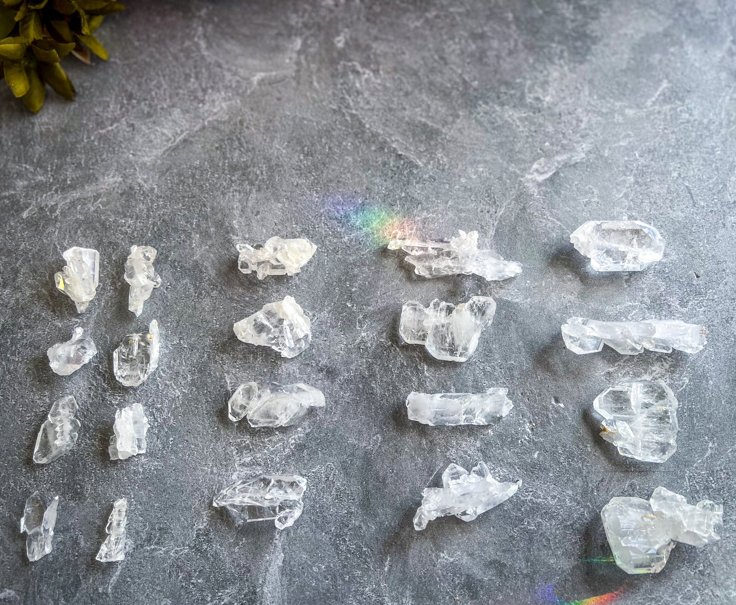 FADEN Tabby Quartz Specimens