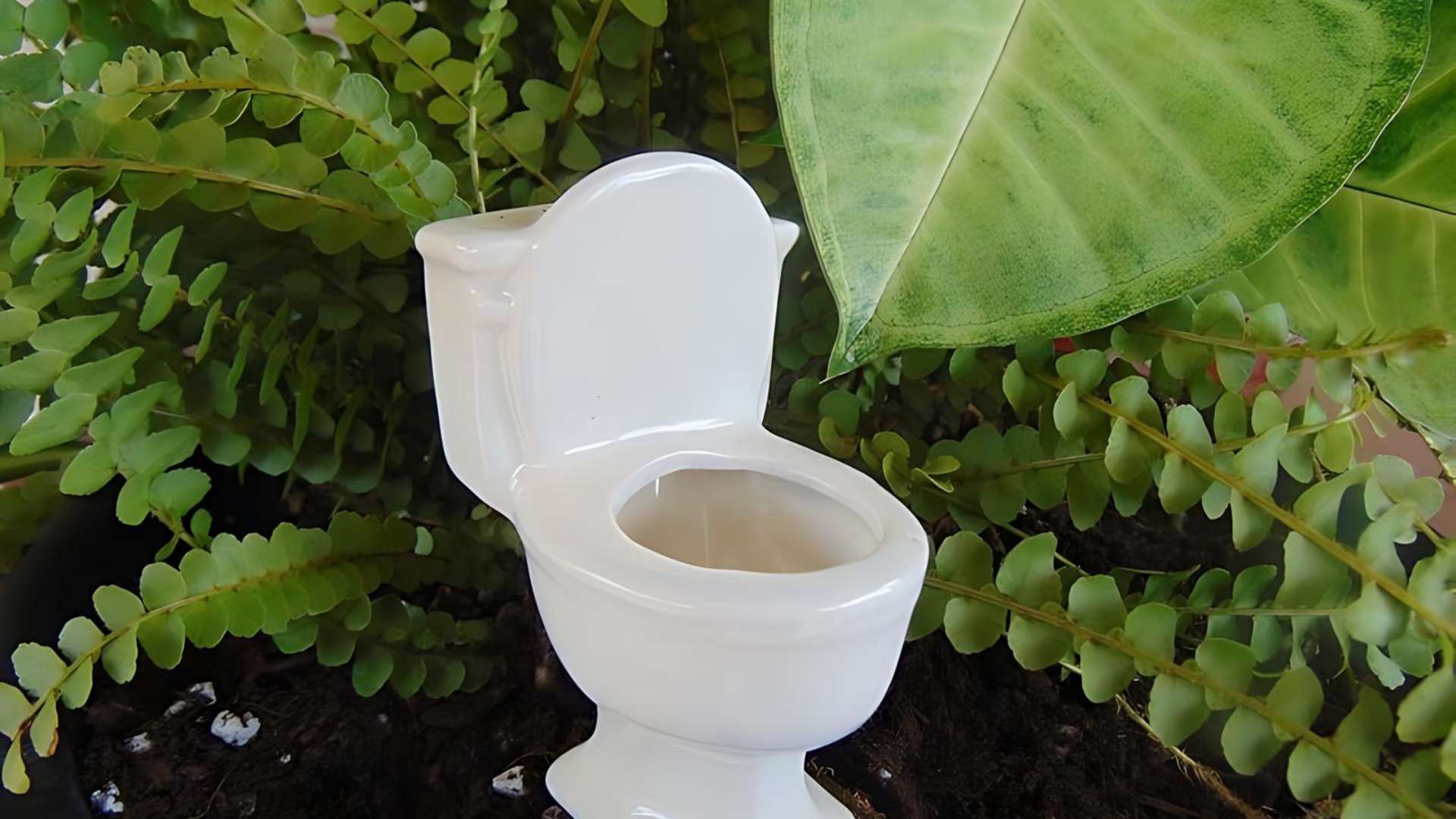 Toilet Watering Spike Mountain Mudworks