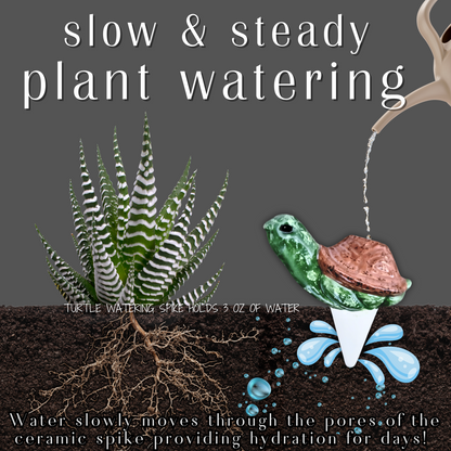Turtle Plant Watering Spike Mountain Mudworks