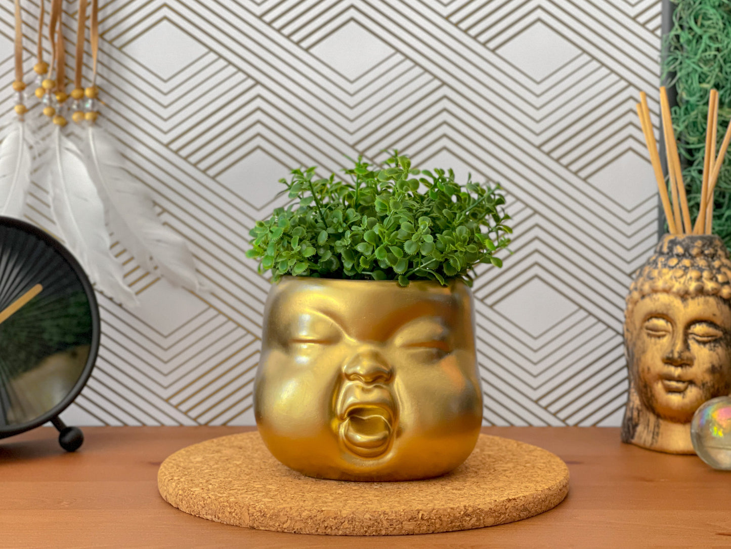 Baby Face Succulent Planter