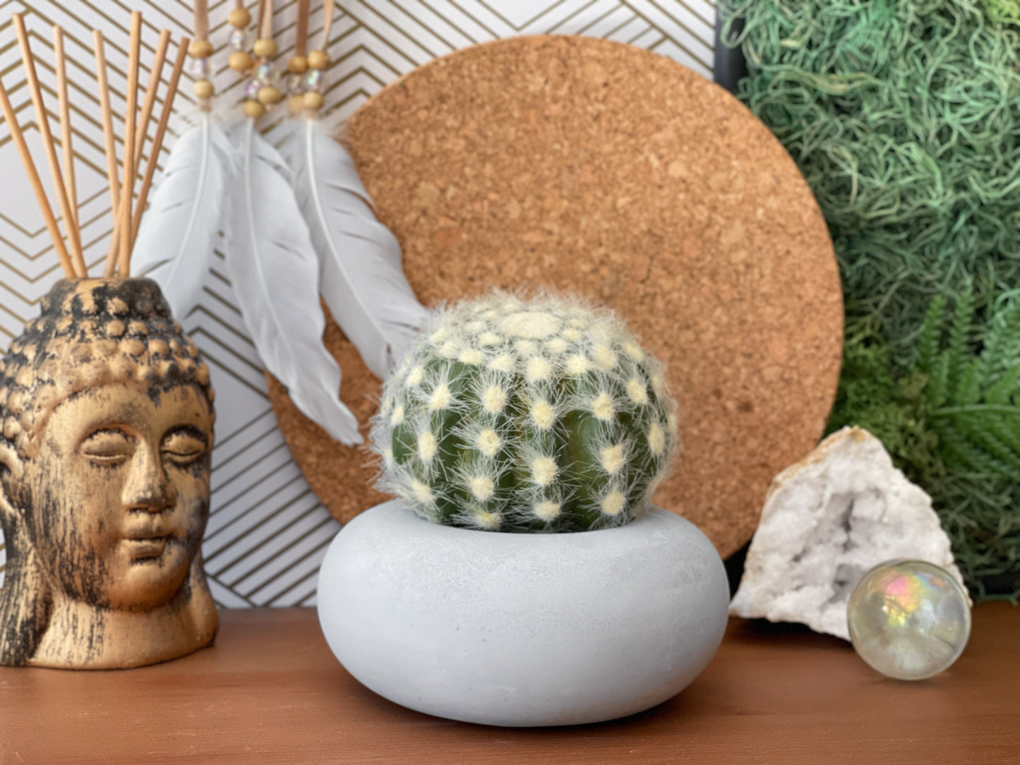 Perfect Succulent Planter