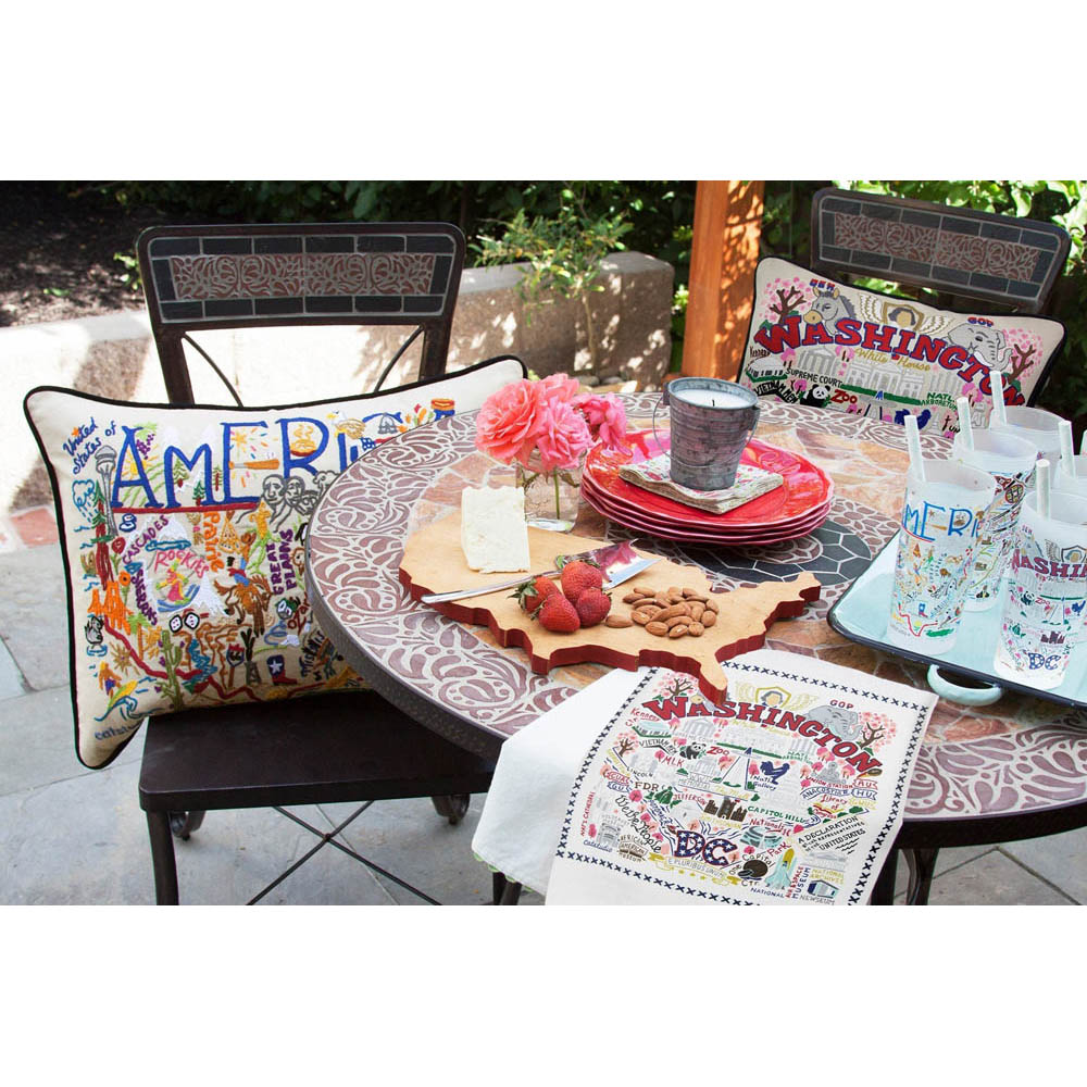 Washington DC Hand-Embroidered Pillow by CatStudio Quirks!
